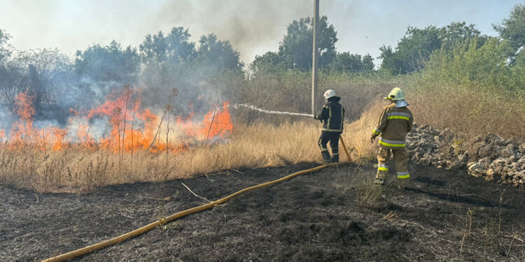 За минулу добу на території Миколаївщини зареєстровано 46 пожеж. Дві – внаслідок бойових дій (ФОТО)