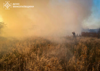 45 пожеж за добу на Миколаївщині – одна через російські обстріли, і знову горів ліс (ФОТО)