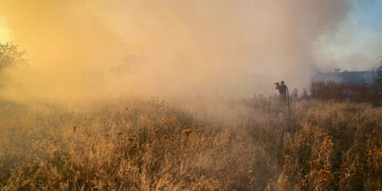 45 пожеж за добу на Миколаївщині – одна через російські обстріли, і знову горів ліс (ФОТО)