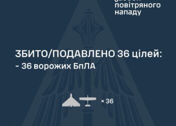 Знешкоджено 36 з 48 ворожих БпЛА. Чим ще ворог атакував Україну