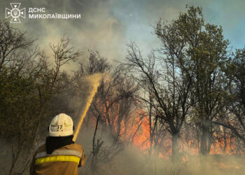 З 42 пожеж на Миколаївщині за добу дві були через російські обстріли. І знов горів ліс (ФОТО)
