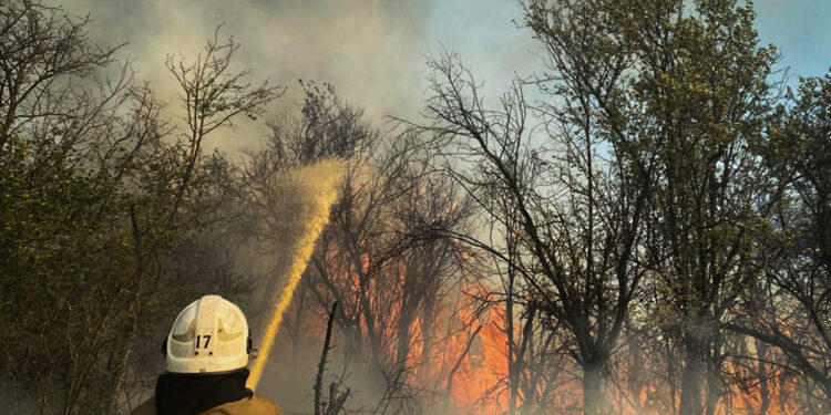 З 42 пожеж на Миколаївщині за добу дві були через російські обстріли. І знов горів ліс (ФОТО)