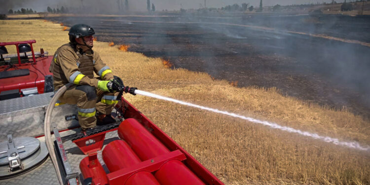 За добу на Миколаївщині було 36 пожеж, одна з них – через російські обстріли (ФОТО)