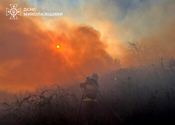 На Миколаївщині за добу було 54 пожежі – вигоріло понад 65 га (ФОТО)