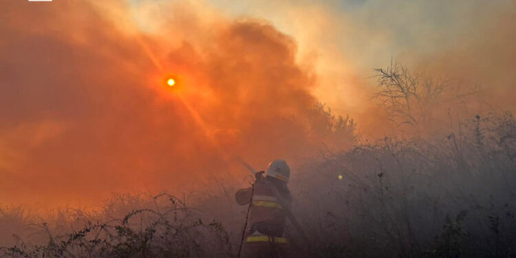 На Миколаївщині за добу було 54 пожежі – вигоріло понад 65 га (ФОТО)
