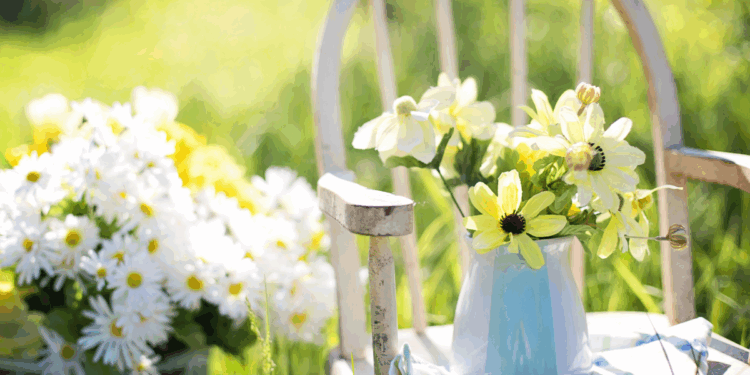 Перші серпневі вихідні: сонце, спека й трохи дощу — як провести ці дні з комфортом