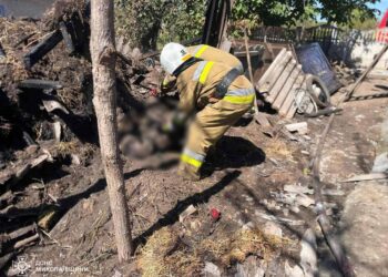 На Миколаївщині на пожежі загинув чоловік – намагався самотужки загасити вогонь