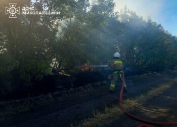 Миколаївщина у вогні – горіли будинки та екосистеми