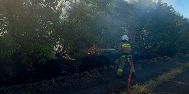 Миколаївщина у вогні – горіли будинки та екосистеми