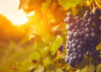 Спекотні вихідні: сонячні дні з присмаком осені