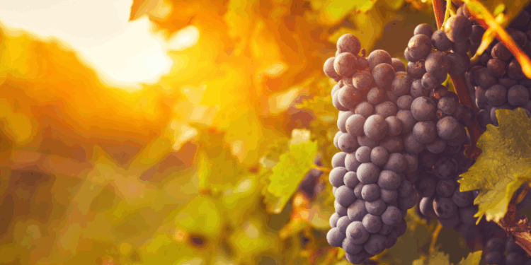 Спекотні вихідні: сонячні дні з присмаком осені