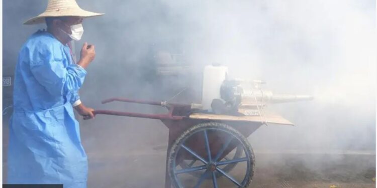 У Китаї паніка через лихоманку Чікунгунья. Що це таке