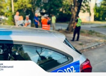 У Миколаєві в тепломережі вивили мумію (ФОТО)