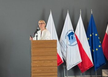 Суддя з Миколаєва виступила на міжнародній конференції, що стосувалась воєнних злочинів рф (ФОТО)