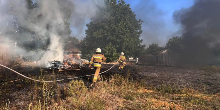 14 пожеж сухостою та сміття ліквідовано вогнеборцями Миколаївщини минулої доби (ФОТО)