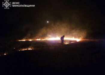 Екологи підрахували шкоду від серпневих пожеж внаслідок російських обстрілів Миколаївщини – майже 100 млн.грн.