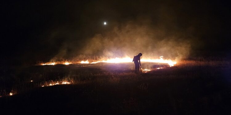 Екологи підрахували шкоду від серпневих пожеж внаслідок російських обстрілів Миколаївщини – майже 100 млн.грн.