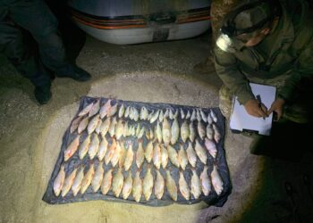 У Миколаєві двоє браконьєрів нанесли шкоди на майже 162 тис.грн. своєю незаконною риболовлею (ФОТО)
