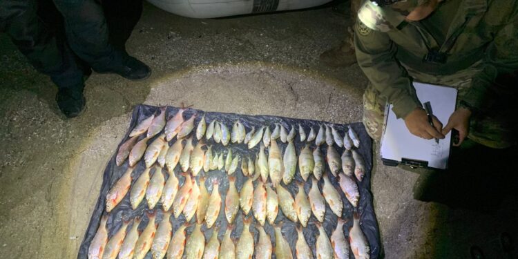 У Миколаєві двоє браконьєрів нанесли шкоди на майже 162 тис.грн. своєю незаконною риболовлею (ФОТО)