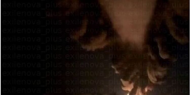 Дрони атакували нафтобазу на Смоленщині (ВІДЕО)