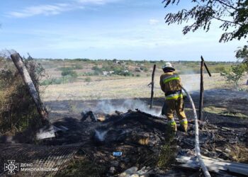 На Миколаївщині в кількох місцях одразу горів сухостій