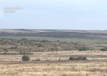 На Миколаївщині за позовом прокуратури суд повернув 54,5 га лісу у власність держави 