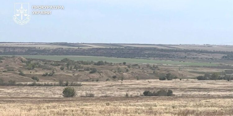 На Миколаївщині за позовом прокуратури суд повернув 54,5 га лісу у власність держави