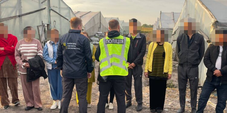 В Україні затримали китайців за організацію експлуатації 13 узбеків в теплицях (ФОТО, ВІДЕО)
