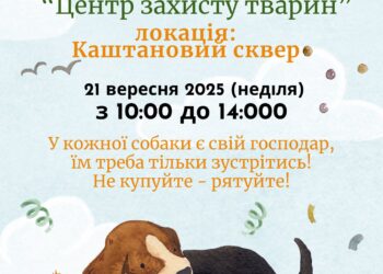 Миколаївці, ще встигаєте: з 10.00 у Каштановому сквері – виставка-прилаштування собак та котів