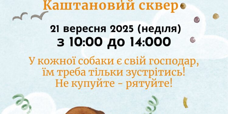 Миколаївці, ще встигаєте: з 10.00 у Каштановому сквері – виставка-прилаштування собак та котів