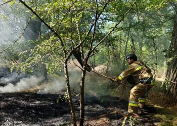 За добу на Миколаївщині було 16 пожеж – що горіло (ФОТО)