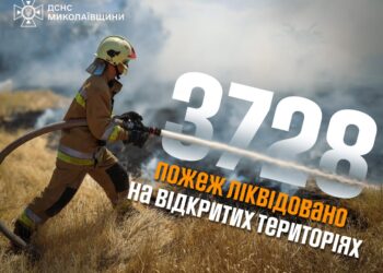 На Миколаївщині цього року на 30% зросла кількість пожеж на відкритих територіях