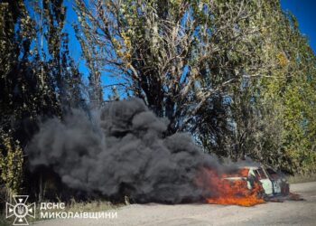 На Миколаївщині під час руху загорівся Renault (ФОТО)