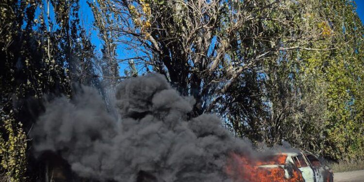 На Миколаївщині під час руху загорівся Renault (ФОТО)