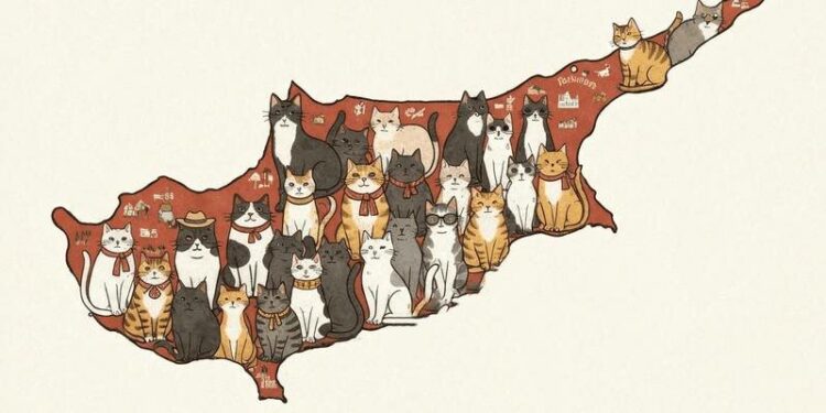 Кіпр б’є на сполох: кількість бродячих кішок перевищила чисельність населення острова