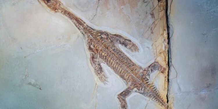 У Швейцарії вперше виявили ларіозавра