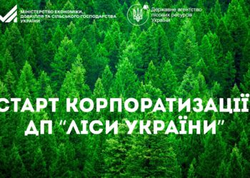 Стартувала корпоратизація ДП «Ліси України»
