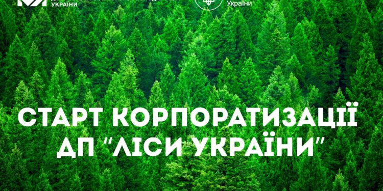 Стартувала корпоратизація ДП «Ліси України»