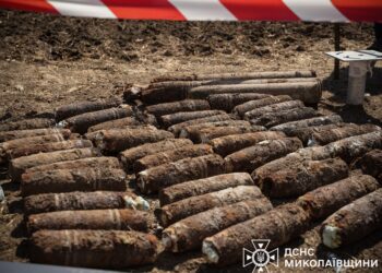 У Миколаєві нарешті завершили розмінування приватного двору – там виявили загалом 72 боєприпаси