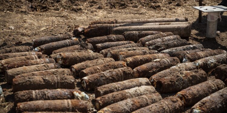 У Миколаєві нарешті завершили розмінування приватного двору – там виявили загалом 72 боєприпаси