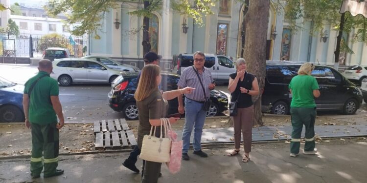 У центрі Миколаєва екологи зафіксували пошкодження платанів на літньому майданчику. Штраф смішний (ФОТО)