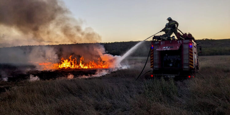 З 23 пожеж на Миколаївщині за минулу добу одна спалахнула через ворожі обстріли (ФОТО)