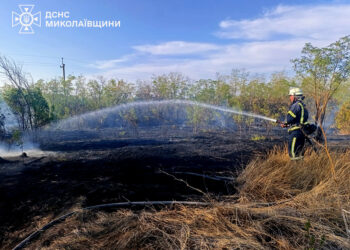 З 14 пожеж за добу на Миколаївщині дві спалахнули через російські обстріли (ФОТО)