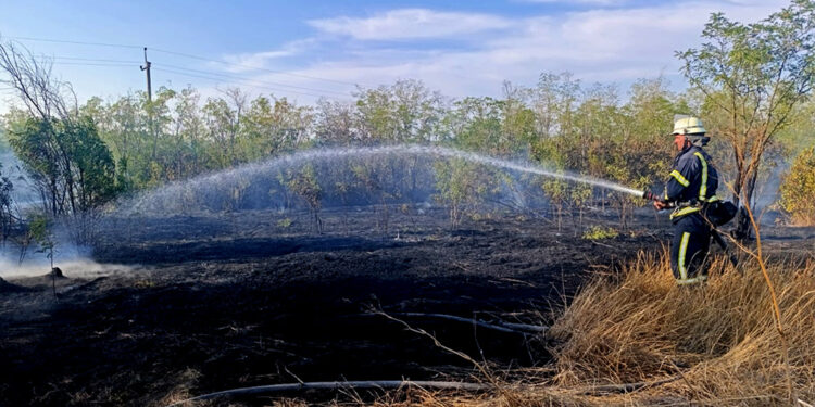 З 14 пожеж за добу на Миколаївщині дві спалахнули через російські обстріли (ФОТО)