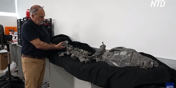 Скелет стародавнього хижого крокодила, що полював на динозаврів, знайшли в Аргентині (ВІДЕО)