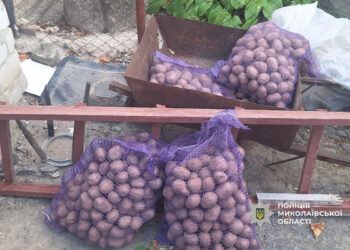 У Миколаєві грабіжники побили продавця і відібрали мішки картоплі та золотий ланцюжок (ФОТО)