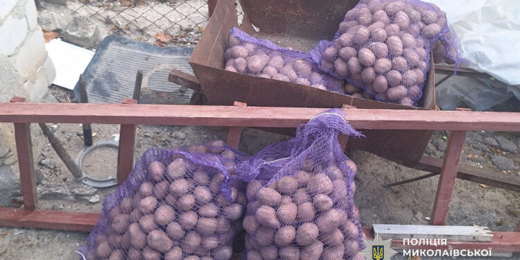 У Миколаєві грабіжники побили продавця і відібрали мішки картоплі та золотий ланцюжок (ФОТО)