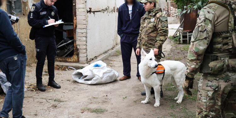 На Миколаївщині затримали місцевого за 5 кг конопель, зброю і хуліганство (ФОТО, ВІДЕО)
