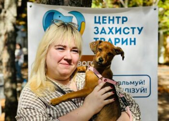 На виставці-прилаштуванні в Миколаєві домівки знайшли 11 безпритульних тварин (ФОТО)