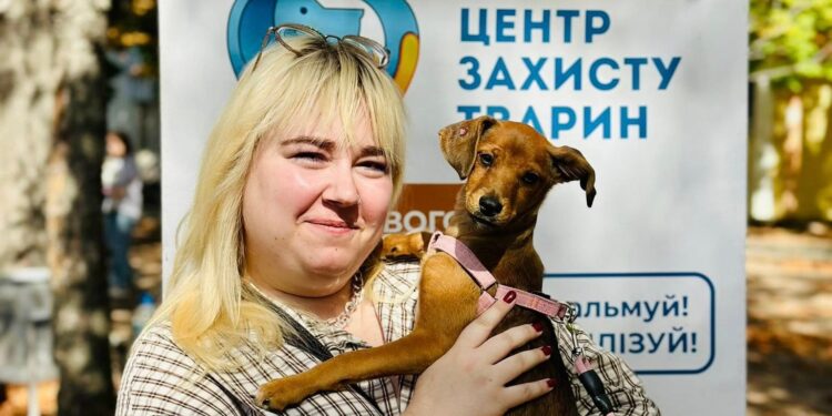 На виставці-прилаштуванні в Миколаєві домівки знайшли 11 безпритульних тварин (ФОТО)